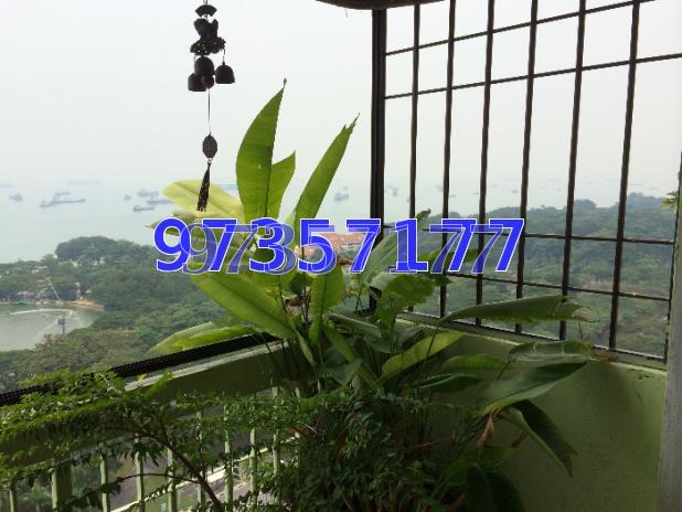 Laguna Park (D15), Apartment #61497702